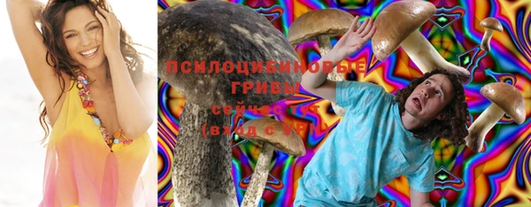 MDMA Premium VHQ Беломорск